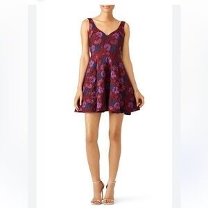 Nicole miller wildflower sweetheart Sz 6 Floral Sleeveless Dress in Red Purple